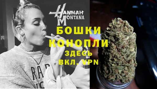 бошки Осташков