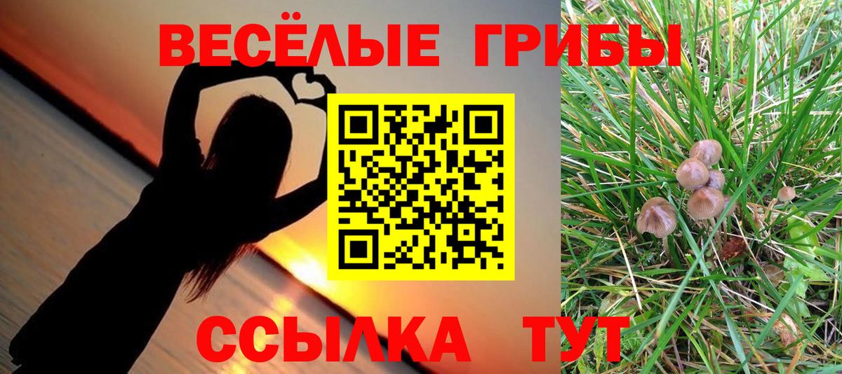 как найти закладки  Псилоцибиновые грибы прущие грибы  Псилоцибиновые грибы MAGIC MUSHROOMS  Вход с VPN  Анжеро-Судженск 
