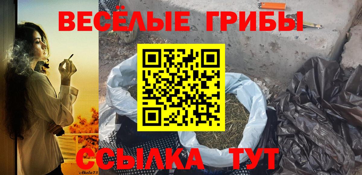 Галлюциногенные грибы прущие грибы Анжеро-Судженск