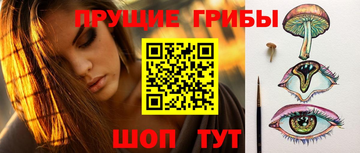 Псилоцибиновые грибы прущие грибы Анжеро-Судженск