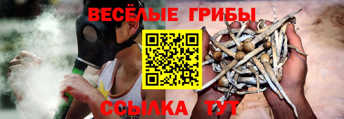 Галлюциногенные грибы GOLDEN TEACHER Анжеро-Судженск