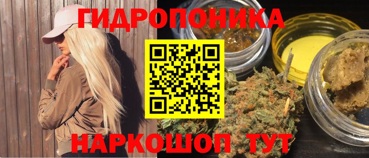 Бошки Шишки планчик Анжеро-Судженск